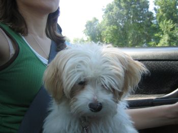 Shawley profile photo