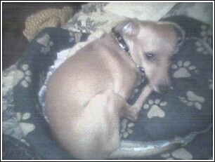 Taisa profile photo