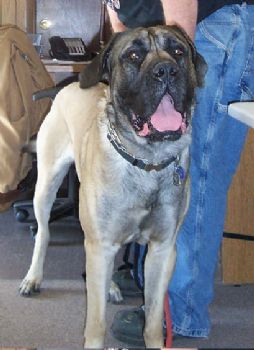 Wags76 profile photo