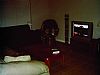 Adenicola room listing photo