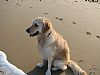 Lilly221 profile photo