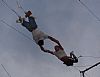 Trapezeguy profile photo