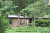 Deerpath room listing photo