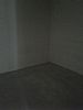 Snookie room listing photo
