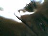 Herve profile photo