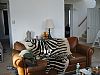 Leka1231 room listing photo