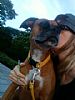 Missluckster profile photo