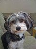 Noskii profile photo