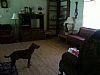 Red1959 room listing photo