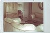 Palmerhouse room listing photo