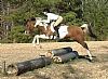 Horselady88 profile photo