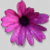 Agreene2 profile photo