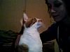 Zaphras profile photo