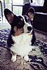 Hank_63 profile photo