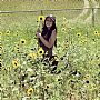 Stevierose profile photo
