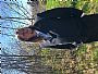 Cbailey207 profile photo