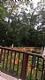 Cathleen1220 room listing photo