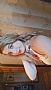Natashac profile photo