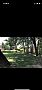 Amberh1992 room listing photo