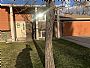 Nikita_Ashley room listing photo