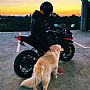 Thedogkeeper profile photo