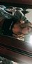 Emlycrnsh profile photo