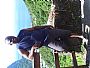 Manyoumust profile photo