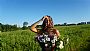 Nicole_Broadwa profile photo