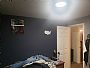 Doglovingguy37 room listing photo