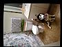 Lizzy_Leandra room listing photo