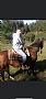 Arledge93_471766 profile photo