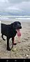 Slangston profile photo