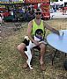 Austin_Herbert profile photo