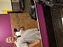 Voltmonger profile photo