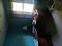 Robert7103 room listing photo