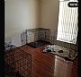 Paytonacourtney room listing photo