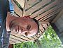 Toddwood9663 profile photo