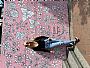 Olivias_479183 profile photo