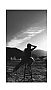 T_Macy profile photo