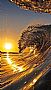 Emmam profile photo