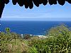 Tuurtle room listing photo