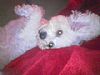 Jacklynkay profile photo