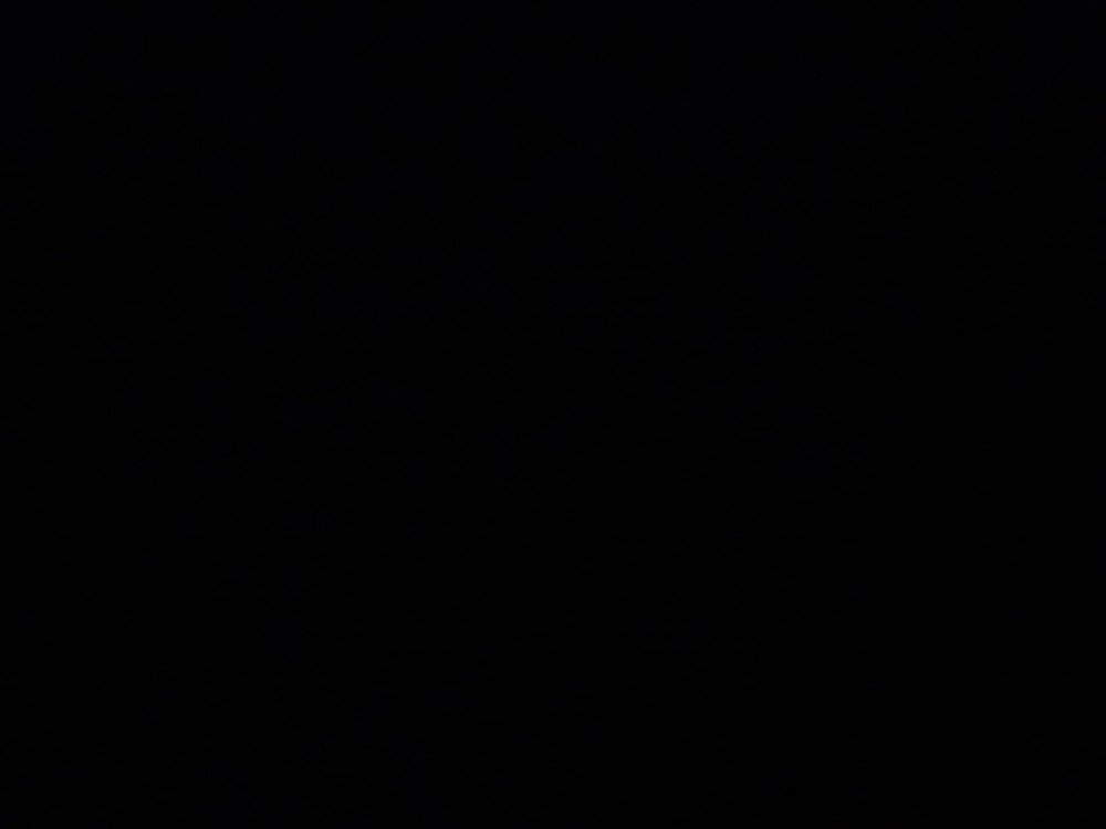 Jaseyx23 profile photo