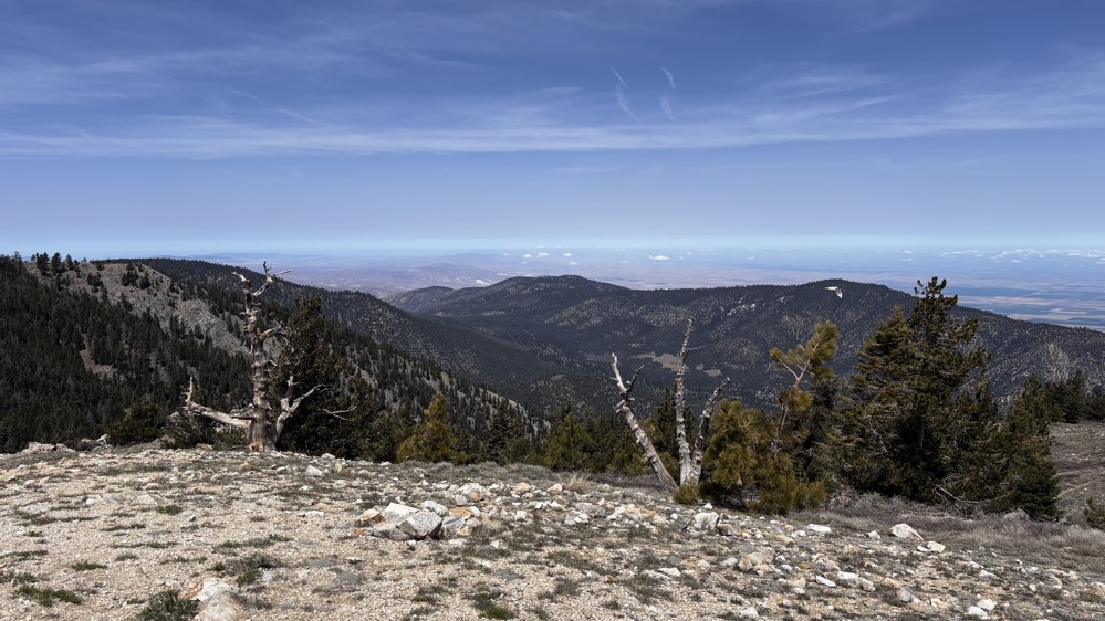 tommy10101 profile photo