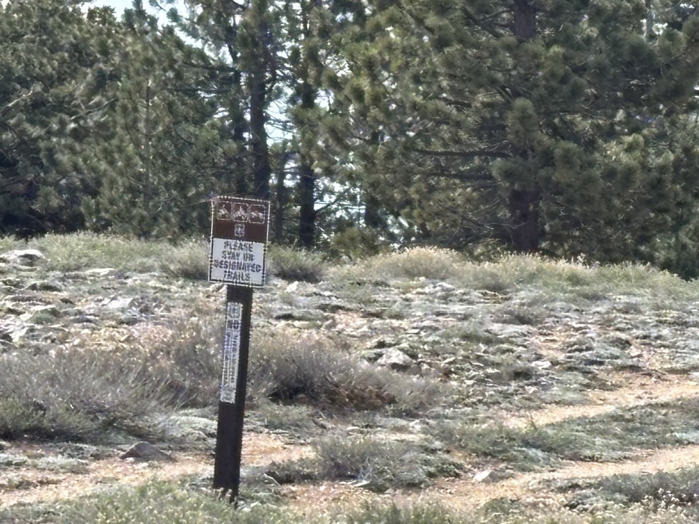 tommy10101 profile photo