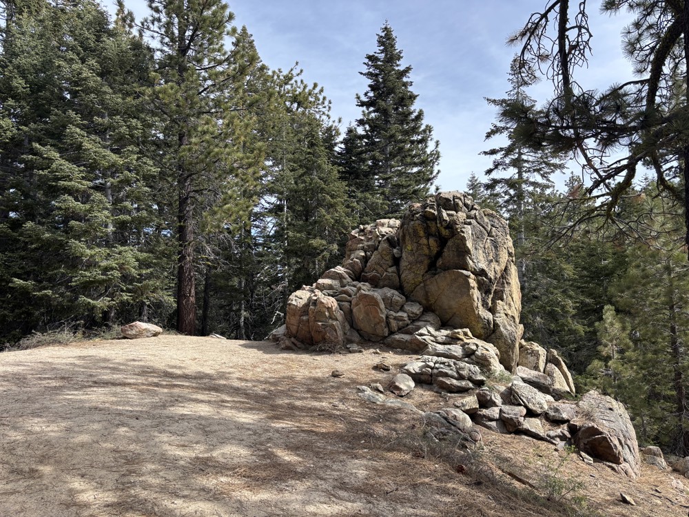 tommy10101 profile photo