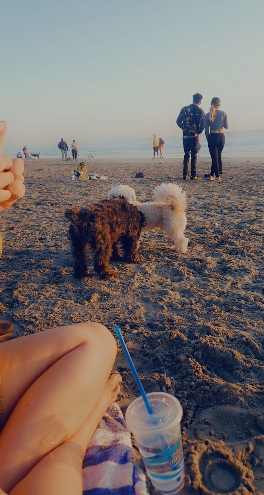 Tiffany profile photo