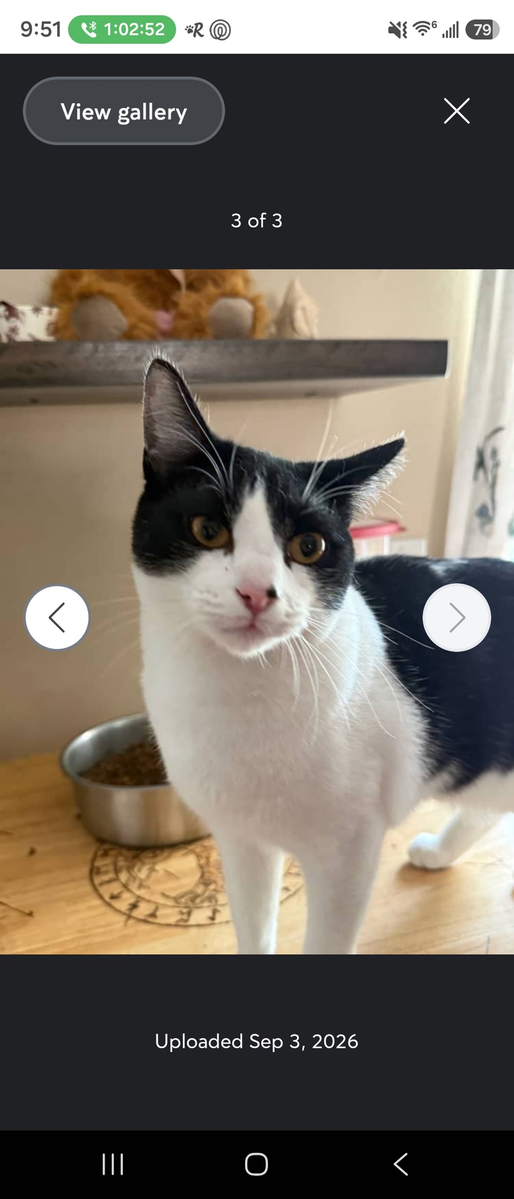 Andrew profile photo