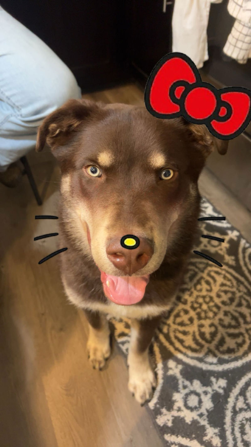 Kambri profile photo